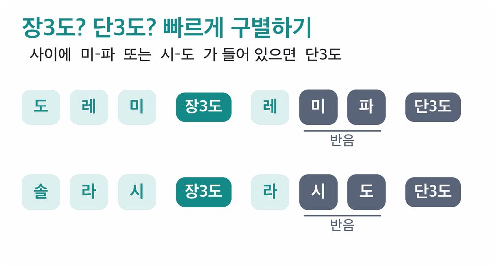 장3도 단3도 구별법 자료화면